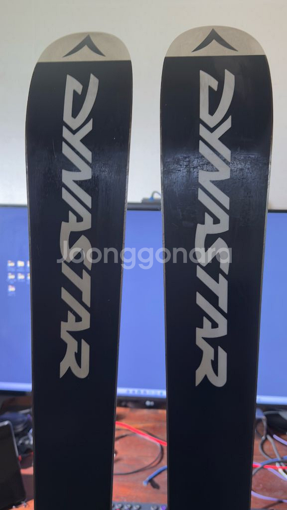 dynastar AGYL PLUS 160 스키세트--2