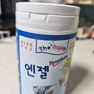 아쿠아플러스 엔젤밥