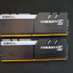 지스킬 램 DDR4 4000C 16GB(8GB 2개)