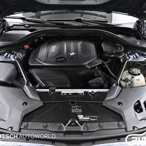 [BMW]5시리즈 (G30) 520d xDrive M