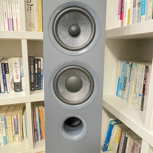포칼 코라 816(Focal Chora 816)+윔엠프