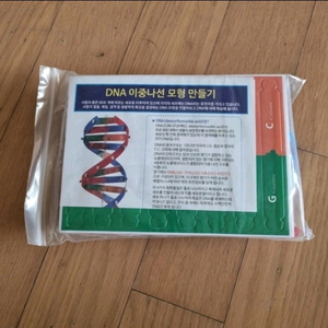 DNA 이중나선 모형 만들기 키트 새거