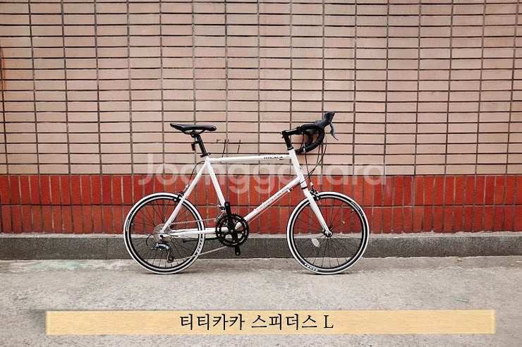 티티카카 미니벨로 싸이클--0