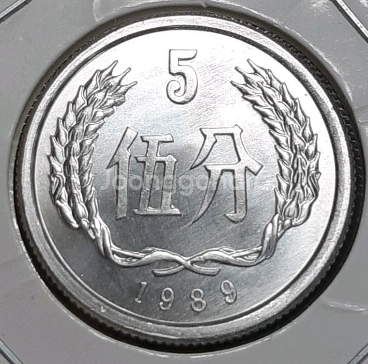 중국 미사용 1989년 5분.외국주화 주화 화폐 동전--1