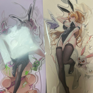 던전앤파이터 바니바니 아크릴