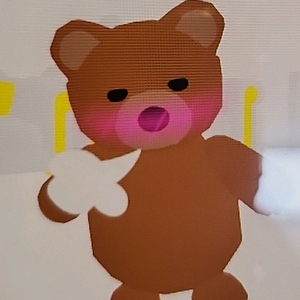 입양하세요 펫 갈색곰
