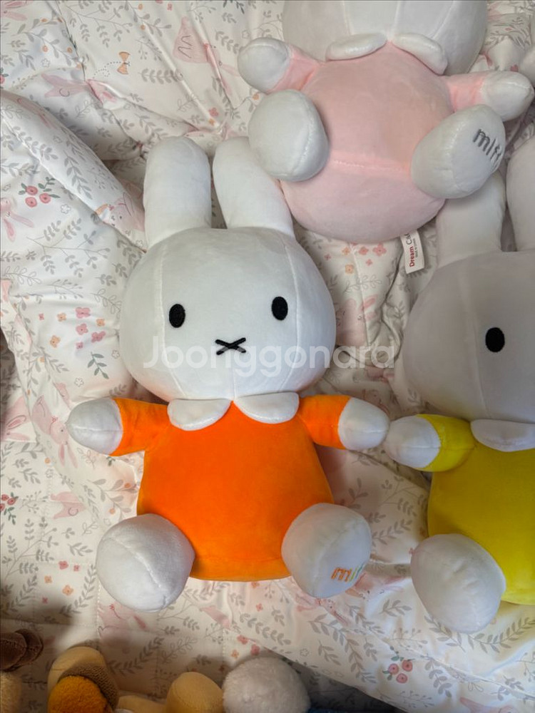 미피인형 5개일괄 시나모롤 인형 새거 같이드림--1