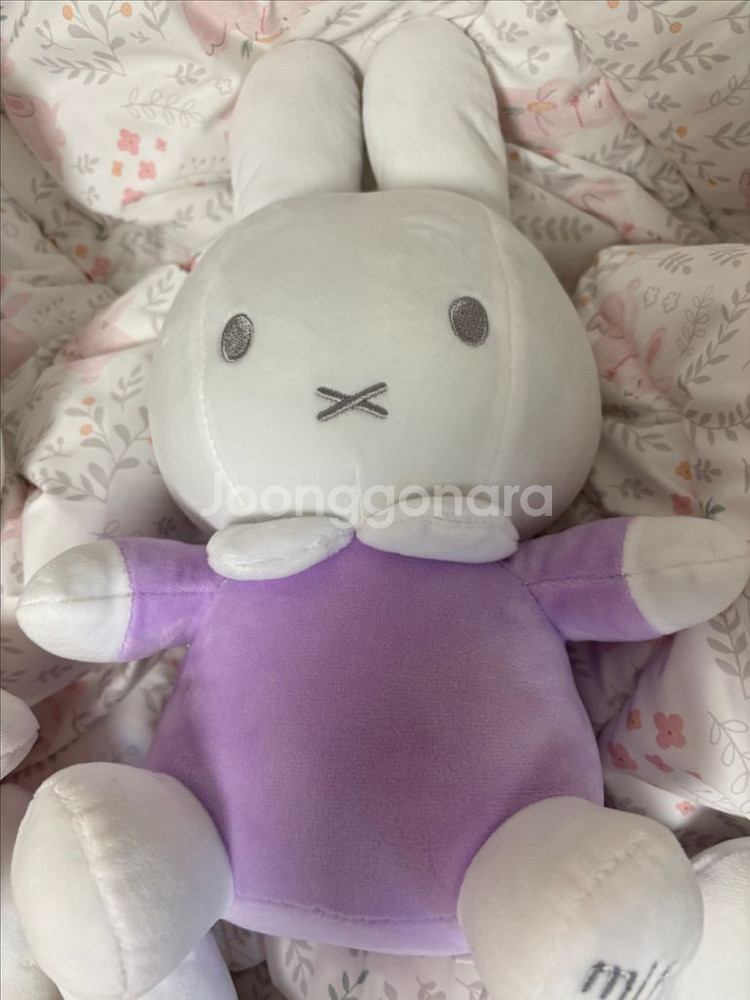 미피인형 5개일괄 시나모롤 인형 새거 같이드림--4