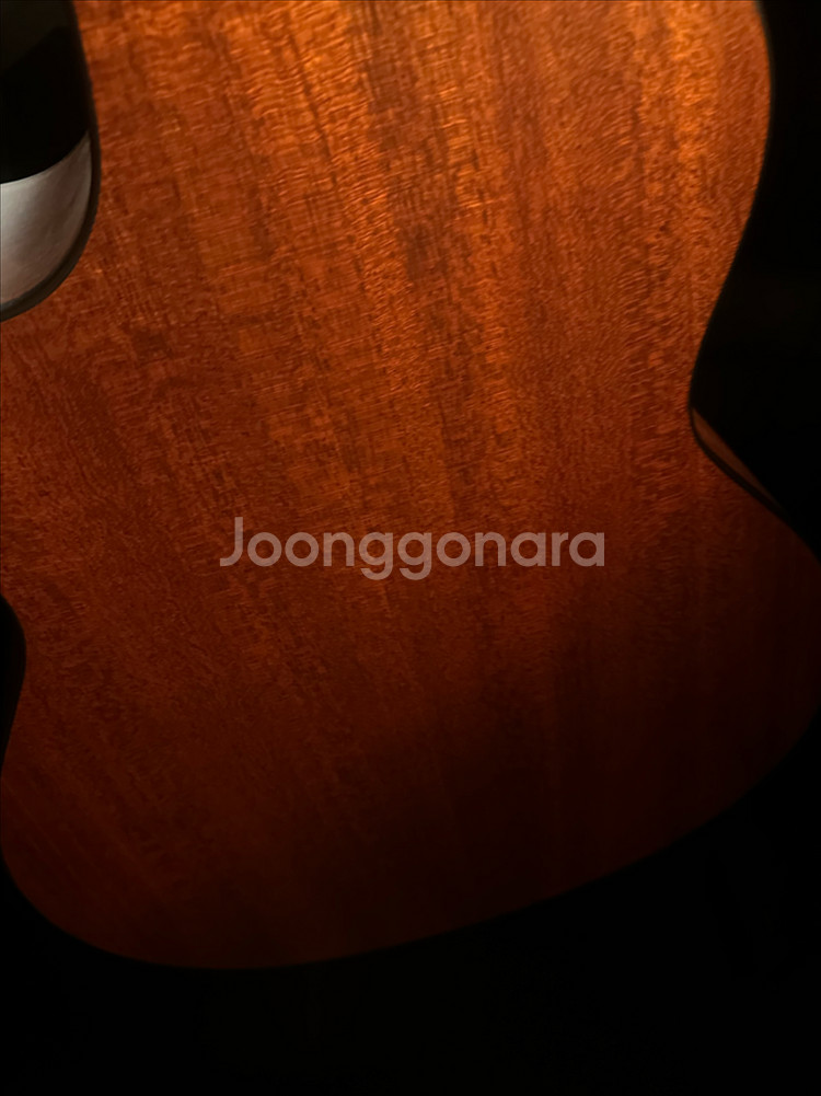 통기타--4