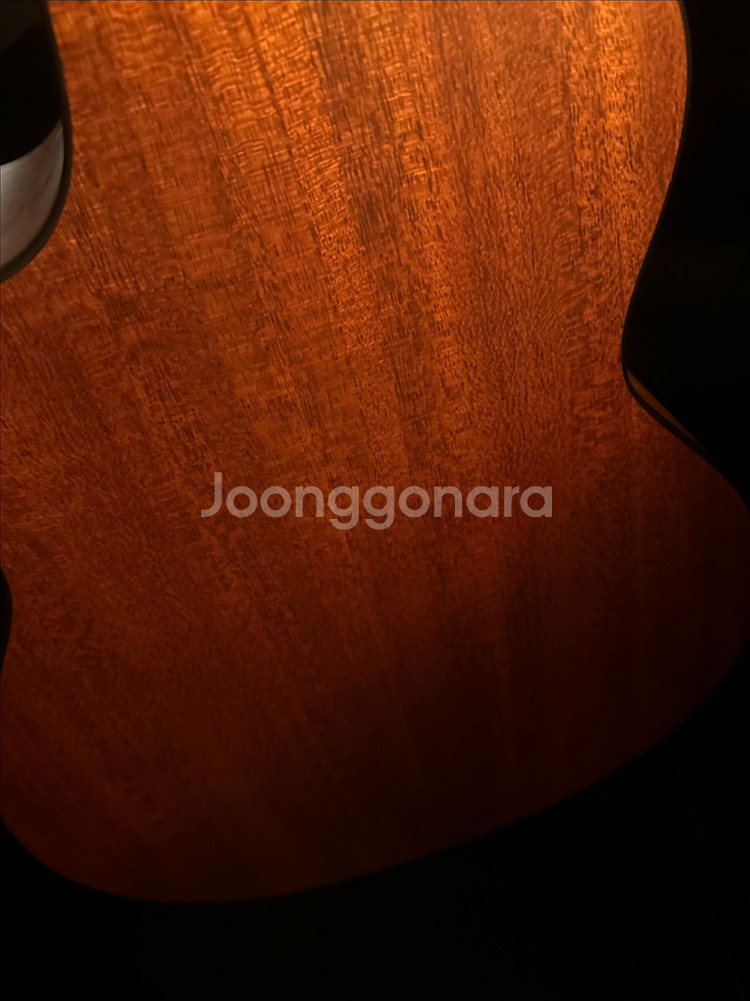 통기타--3