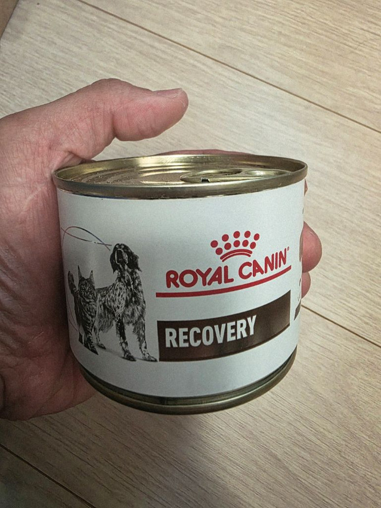 로얄캐닌 리커버리 8캔 팝니다--0