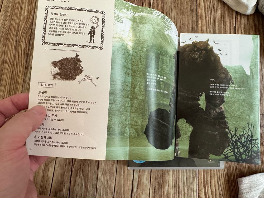 PS2 완다와 거상 일반판 이미지