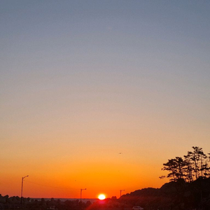 롯데시네마 영화 예매