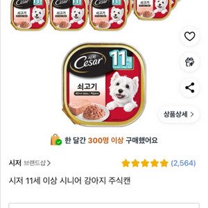 시저 11세이상 소고기 22개