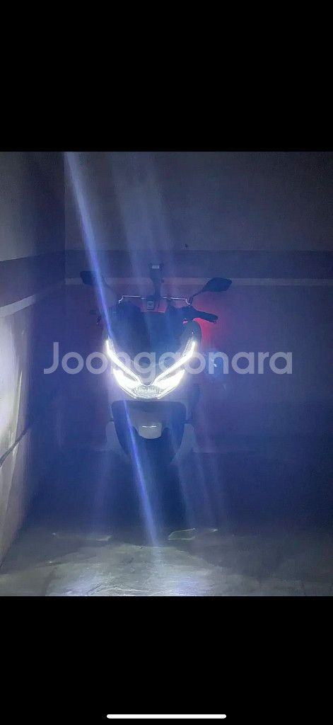 pcx 20년식--1