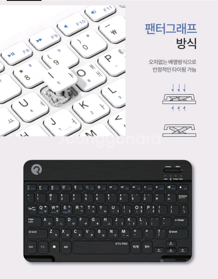 로이체 MUSES KT5 울트라 슬림 블루투스 키보드입--1