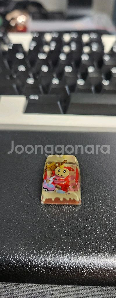 포켓몬 아티산 키캡--3