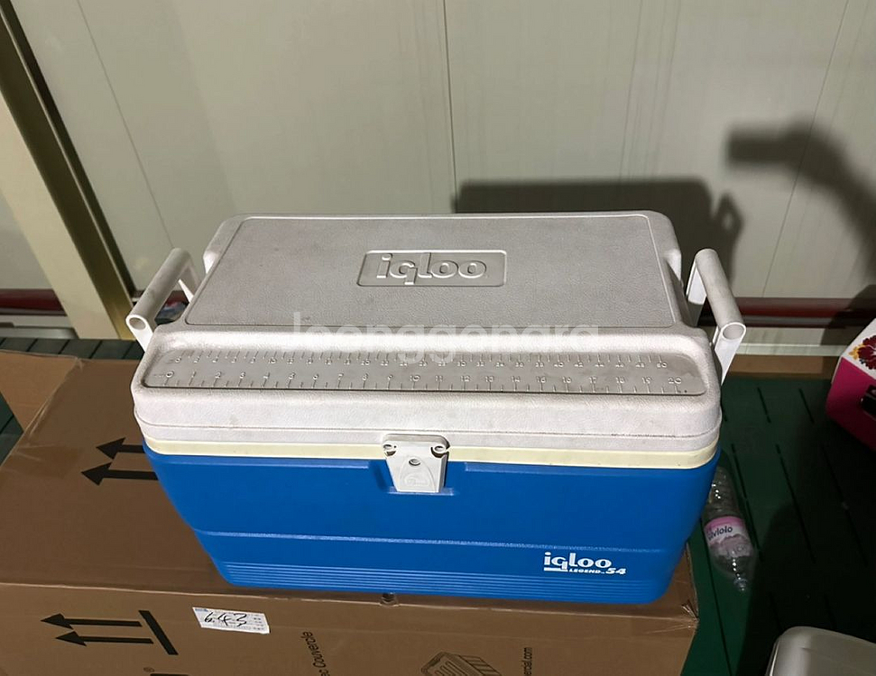 이글루 아이스박스 51L 레전드54--1
