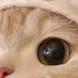 더쿠 커뮤니티 아이디 양도합니다