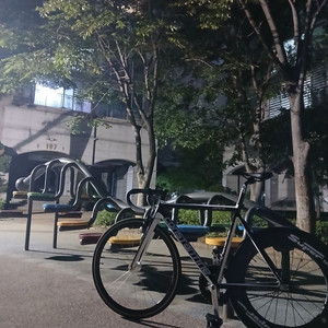 콘스탄틴 디스페랄 24년식 화이트 차콜 팝니다!판/대