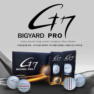 G7 빅야드 프로 골프공 12구
