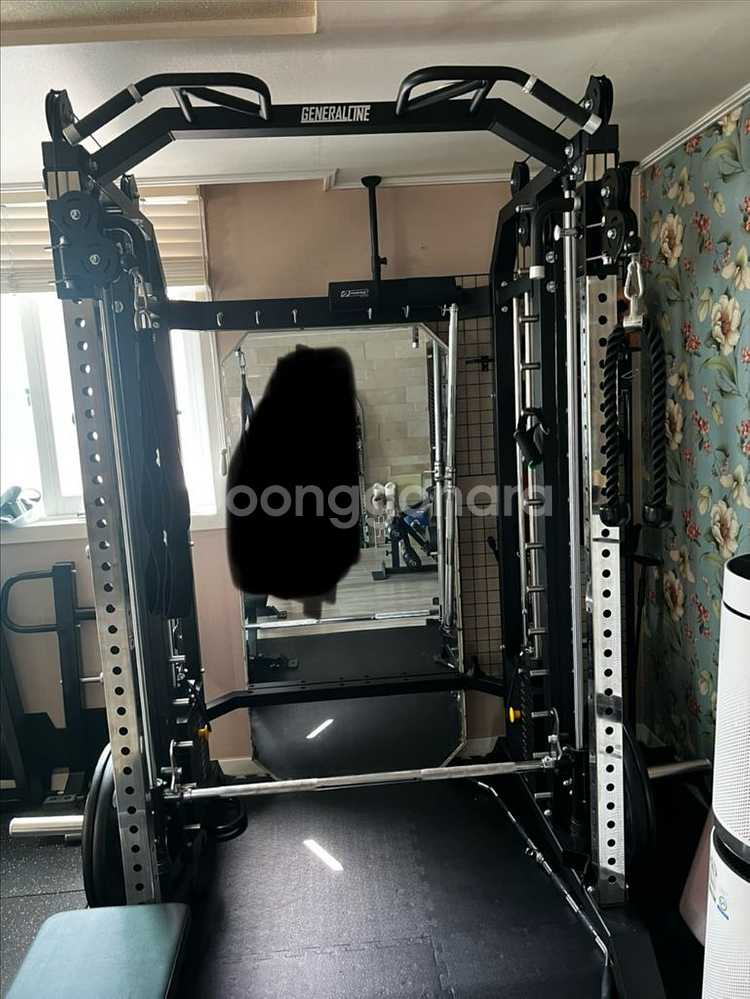 홈짐 펜타곤 제너럴라인 스미스머신 멀티랙 파워랙 헬스장--0