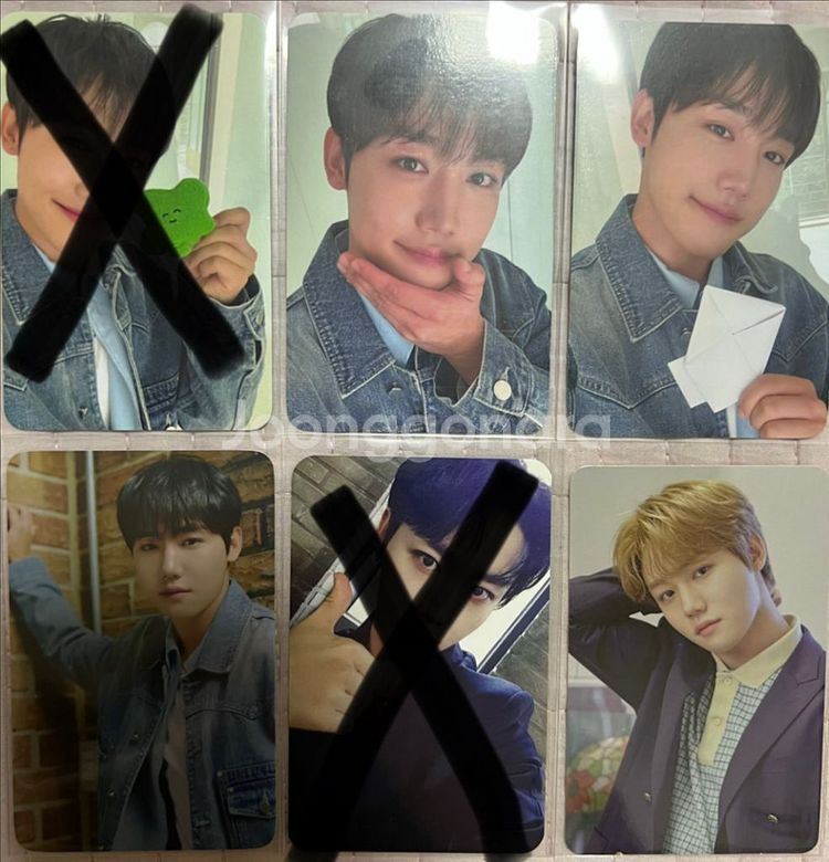 골든차일드 포카--2