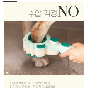포리나 강아지 샤워기 헤드 대형