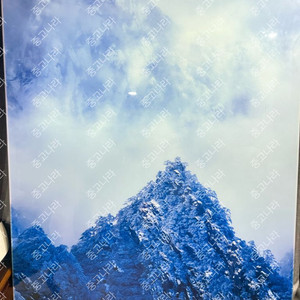 김중만 황산 대형작품