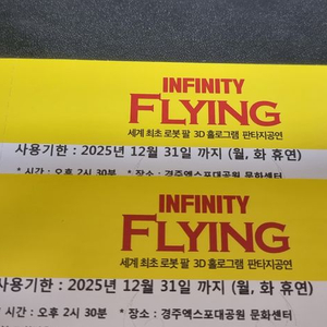인피니티 플라잉 관람권 경주 2매