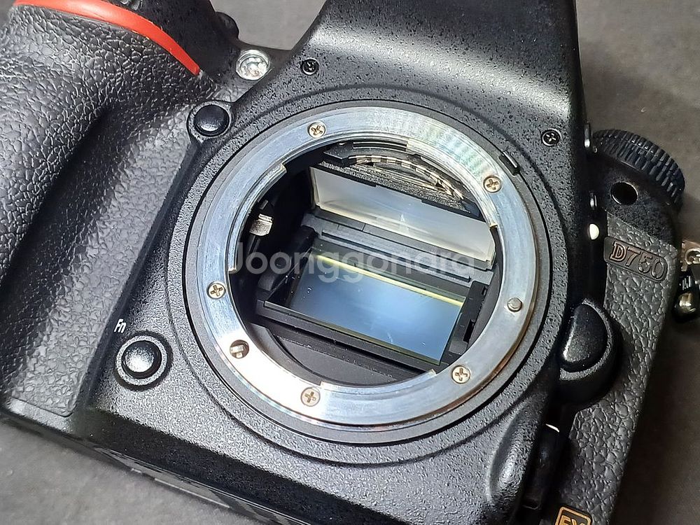 D750 니콘 + 28-70mm af 렌즈 + 카메라--7