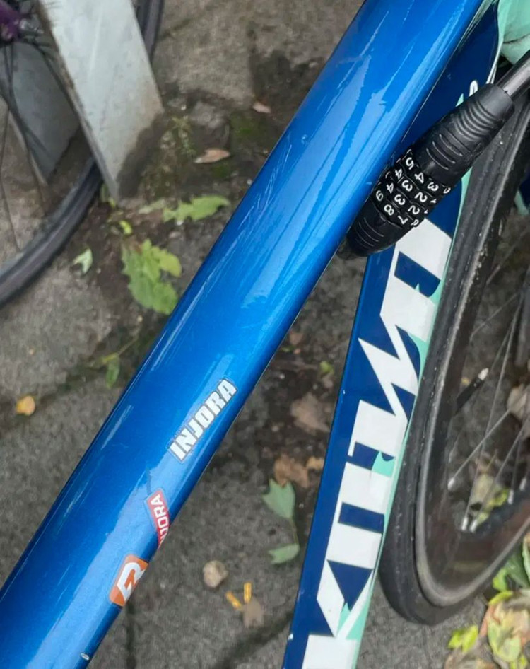 언노운 2024 샤크 이미지