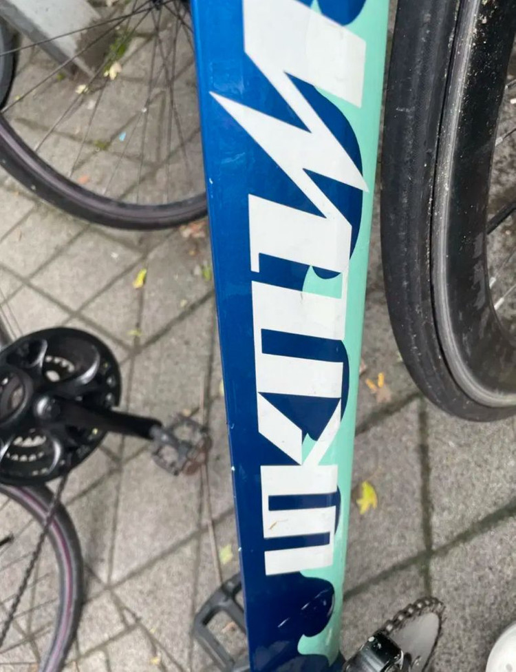 언노운 2024 샤크 이미지