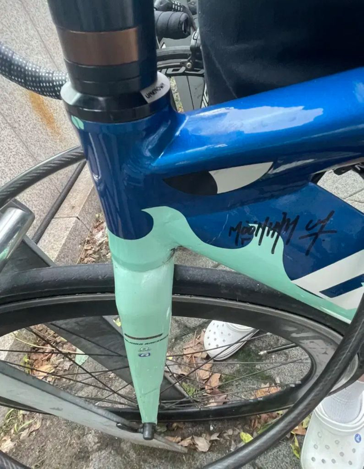 언노운 2024 샤크 이미지