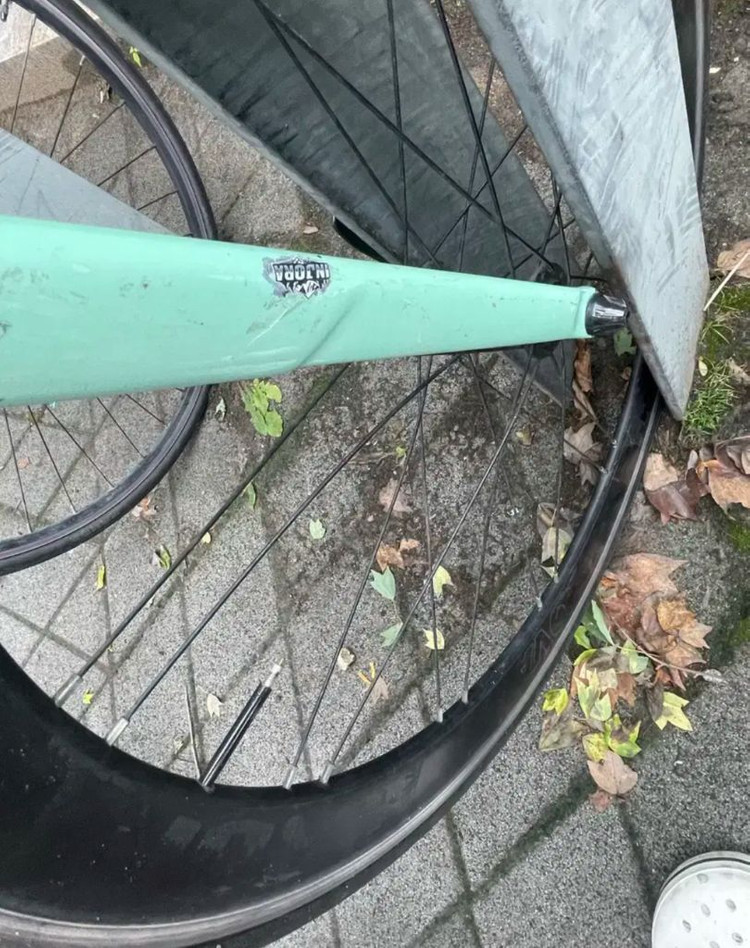 언노운 2024 샤크 이미지