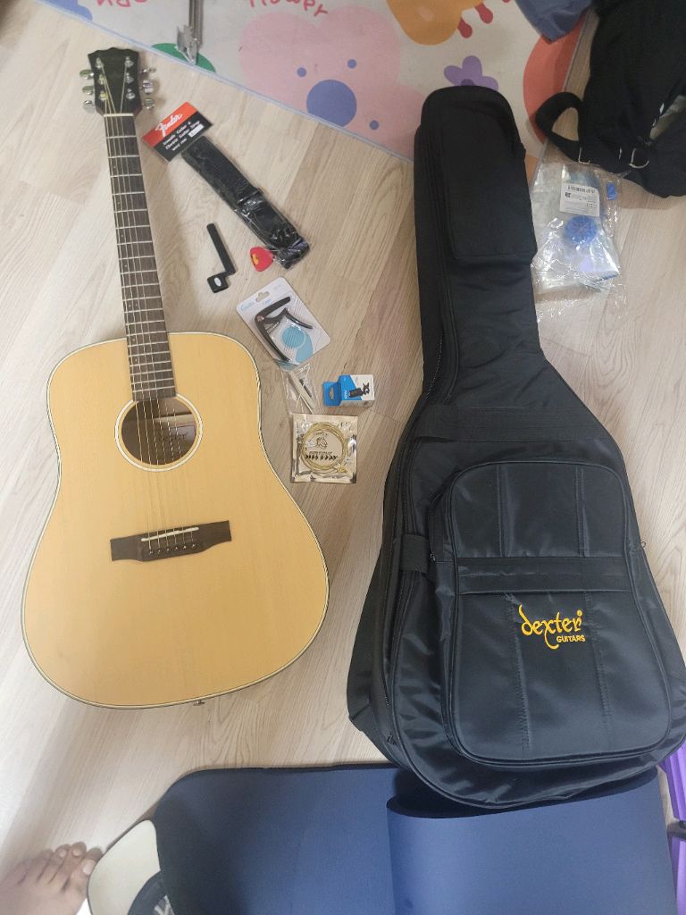 덱스터 입문용 기타