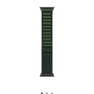 애플워치 49mm s 알파인루프 다크그린