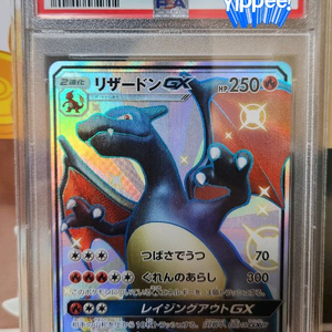 일판 리자몽 GX SSR PSA 9등급