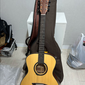 고퍼우드 기타