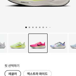 나이키 페가수스 41