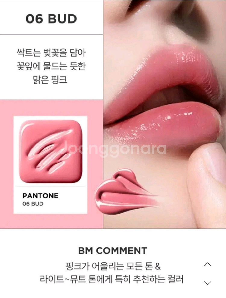 아떼 어센틱 립 글로이 밤 06버드 07포그--2