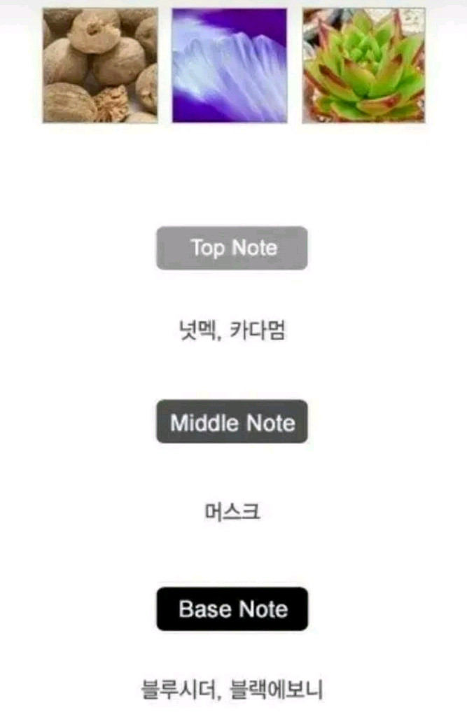 나르시소로드리게즈 포힘 블루느와르 오드뚜왈렛 100ml--3