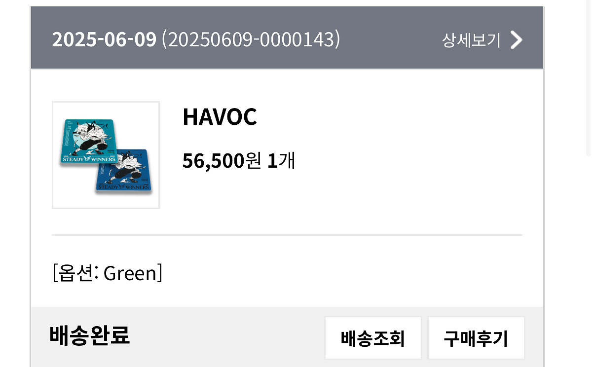 스테디위너스 HAVOC--1