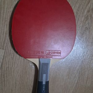 김택수 히노끼 맥스 탁구라켓
