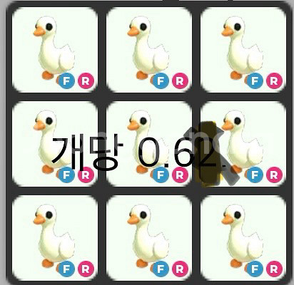 입양하세요 거위 펫--0
