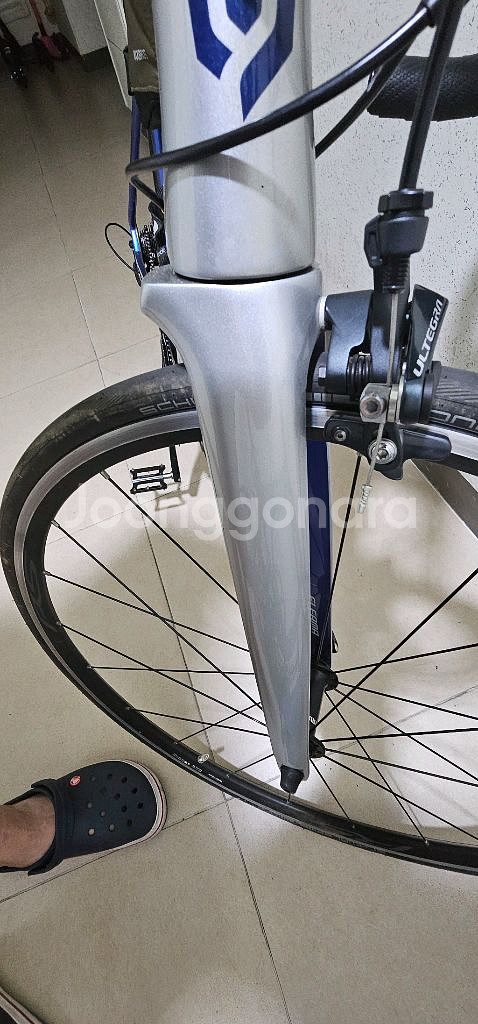카본로드 엘파마 레이다 r8000울테그라--6