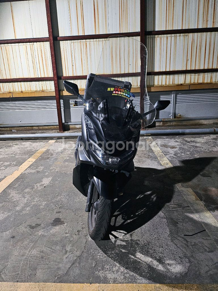 (포항)pcx125 24년식ABS[급매]--0