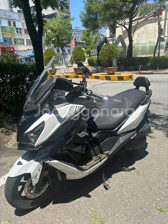 크루심125--1