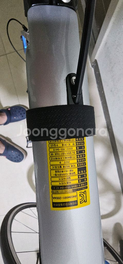 카본로드 엘파마 레이다 r8000울테그라--9