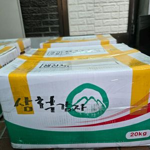 강원도감자 20키로
